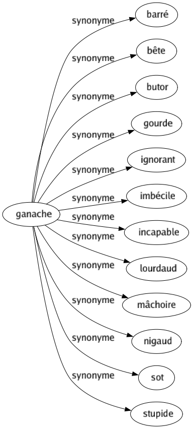 Synonyme de Ganache : Barré Bête Butor Gourde Ignorant Imbécile Incapable Lourdaud Mâchoire Nigaud Sot Stupide 