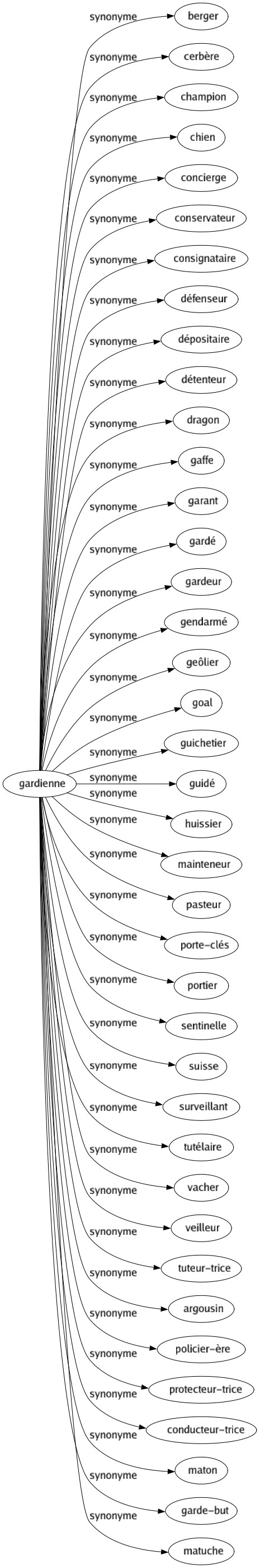 Synonyme de Gardienne : Berger Cerbère Champion Chien Concierge Conservateur Consignataire Défenseur Dépositaire Détenteur Dragon Gaffe Garant Gardé Gardeur Gendarmé Geôlier Goal Guichetier Guidé Huissier Mainteneur Pasteur Porte-clés Portier Sentinelle Suisse Surveillant Tutélaire Vacher Veilleur Tuteur-trice Argousin Policier-ère Protecteur-trice Conducteur-trice Maton Garde-but Matuche 