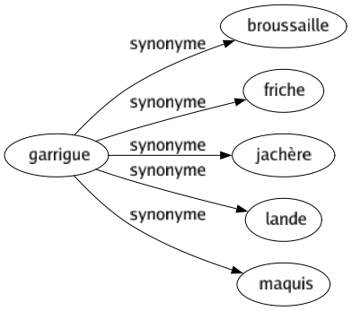 Synonyme de Garrigue : Broussaille Friche Jachère Lande Maquis 