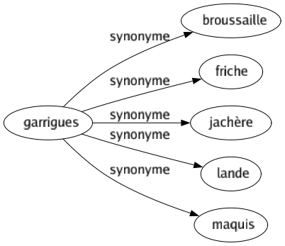 Synonyme de Garrigues : Broussaille Friche Jachère Lande Maquis 
