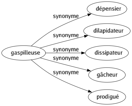 Synonyme de Gaspilleuse : Dépensier Dilapidateur Dissipateur Gâcheur Prodigué 