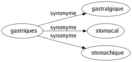 Synonyme de Gastriques : Gastralgique Stomacal Stomachique 