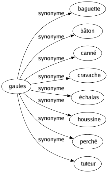 Synonyme de Gaules : Baguette Bâton Canné Cravache Échalas Houssine Perché Tuteur 