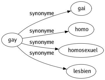 Synonyme de Gay : Gai Homo Homosexuel Lesbien 