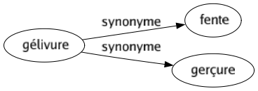 Synonyme de Gélivure : Fente Gerçure 