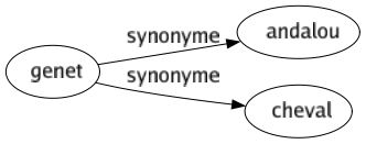 Synonyme de Genet : Andalou Cheval 
