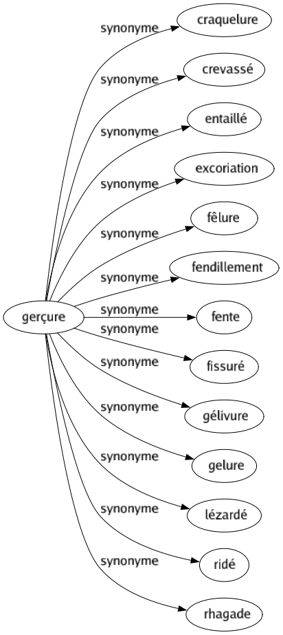 Synonyme de Gerçure : Craquelure Crevassé Entaillé Excoriation Fêlure Fendillement Fente Fissuré Gélivure Gelure Lézardé Ridé Rhagade 