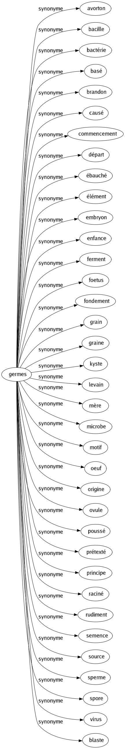 Synonyme de Germes : Avorton Bacille Bactérie Basé Brandon Causé Commencement Départ Ébauché Élément Embryon Enfance Ferment Foetus Fondement Grain Graine Kyste Levain Mère Microbe Motif Oeuf Origine Ovule Poussé Prétexté Principe Raciné Rudiment Semence Source Sperme Spore Virus Blaste 