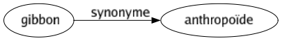 Synonyme de Gibbon : Anthropoïde 