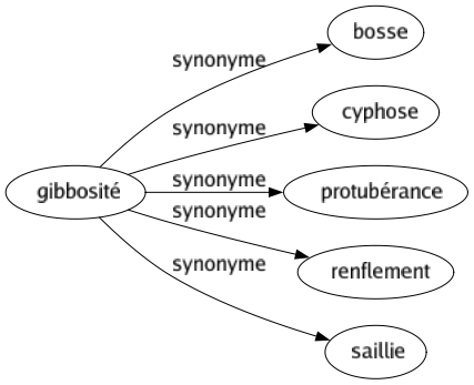 Synonyme de Gibbosité : Bosse Cyphose Protubérance Renflement Saillie 