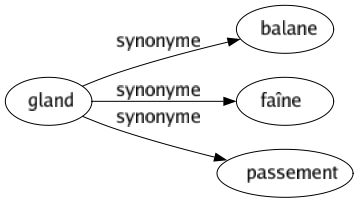 Synonyme de Gland : Balane Faîne Passement 