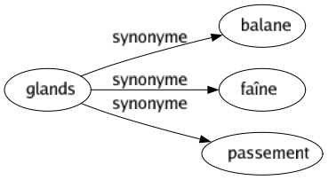 Synonyme de Glands : Balane Faîne Passement 