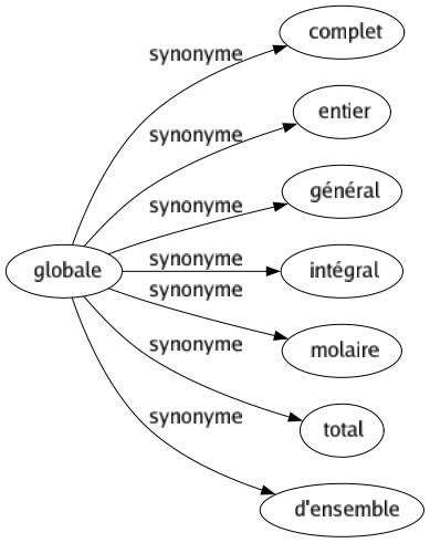 Synonyme de Globale : Complet Entier Général Intégral Molaire Total D'ensemble 