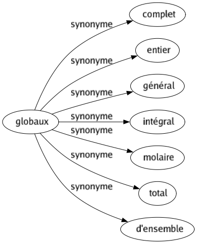 Synonyme de Globaux : Complet Entier Général Intégral Molaire Total D'ensemble 