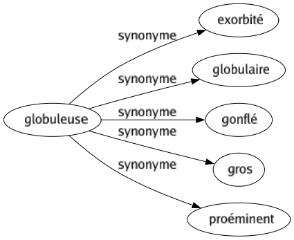 Synonyme de Globuleuse : Exorbité Globulaire Gonflé Gros Proéminent 