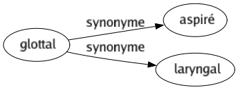 Synonyme de Glottal : Aspiré Laryngal 