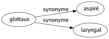 Synonyme de Glottaux : Aspiré Laryngal 