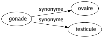 Synonyme de Gonade : Ovaire Testicule 