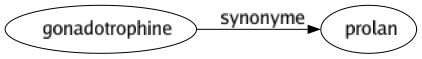 Synonyme de Gonadotrophine : Prolan 