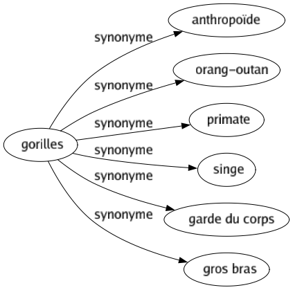 Synonyme de Gorilles : Anthropoïde Orang-outan Primate Singe Garde du corps Gros bras 