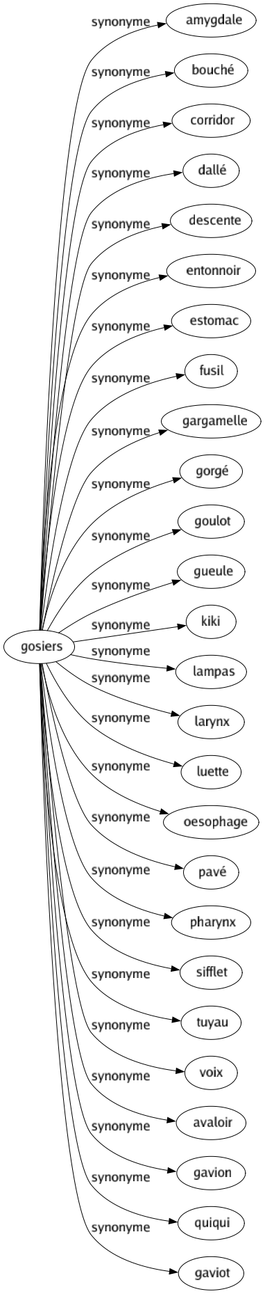 Synonyme de Gosiers : Amygdale Bouché Corridor Dallé Descente Entonnoir Estomac Fusil Gargamelle Gorgé Goulot Gueule Kiki Lampas Larynx Luette Oesophage Pavé Pharynx Sifflet Tuyau Voix Avaloir Gavion Quiqui Gaviot 