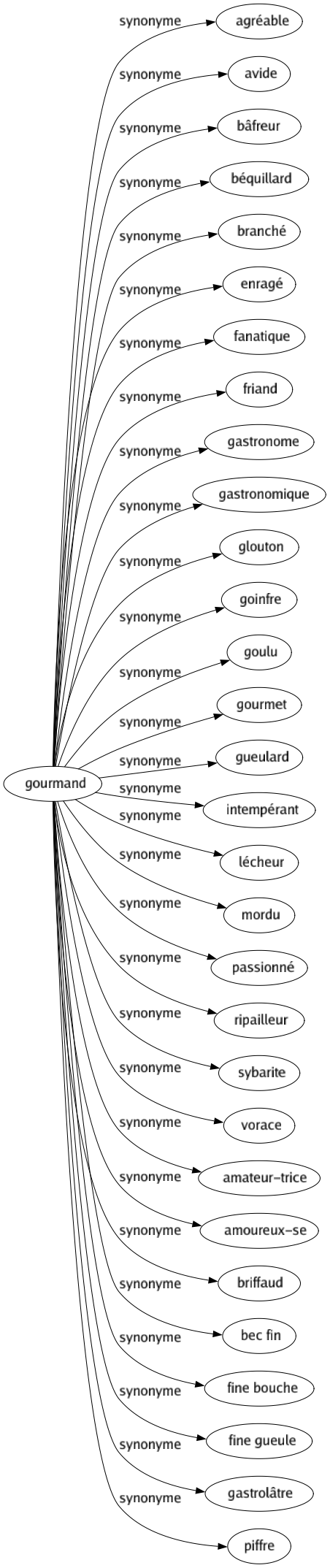 Synonyme de Gourmand : Agréable Avide Bâfreur Béquillard Branché Enragé Fanatique Friand Gastronome Gastronomique Glouton Goinfre Goulu Gourmet Gueulard Intempérant Lécheur Mordu Passionné Ripailleur Sybarite Vorace Amateur-trice Amoureux-se Briffaud Bec fin Fine bouche Fine gueule Gastrolâtre Piffre 