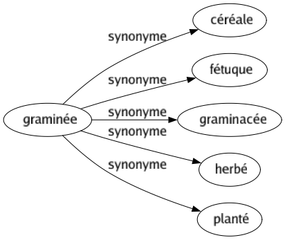 Synonyme de Graminée : Céréale Fétuque Graminacée Herbé Planté 