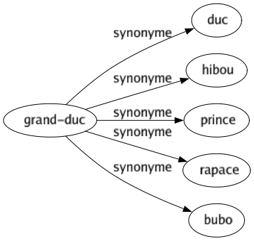 Synonyme de Grand-duc : Duc Hibou Prince Rapace Bubo 