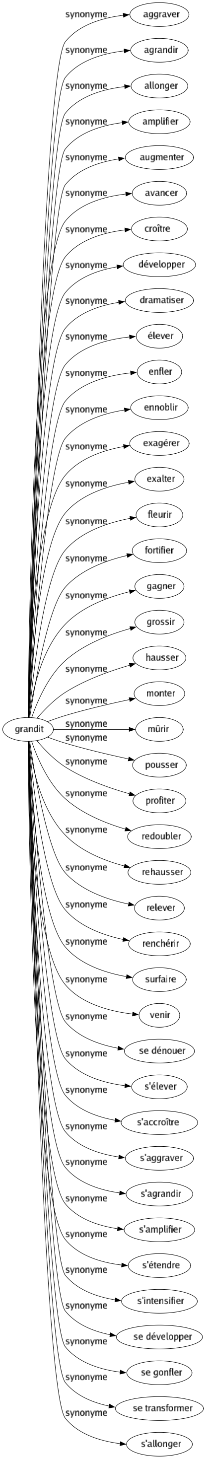 Synonyme de Grandit : Aggraver Agrandir Allonger Amplifier Augmenter Avancer Croître Développer Dramatiser Élever Enfler Ennoblir Exagérer Exalter Fleurir Fortifier Gagner Grossir Hausser Monter Mûrir Pousser Profiter Redoubler Rehausser Relever Renchérir Surfaire Venir Se dénouer S'élever S'accroître S'aggraver S'agrandir S'amplifier S'étendre S'intensifier Se développer Se gonfler Se transformer S'allonger 