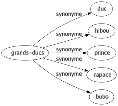 Synonyme de Grands-ducs : Duc Hibou Prince Rapace Bubo 