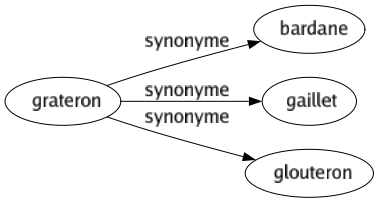 Synonyme de Grateron : Bardane Gaillet Glouteron 