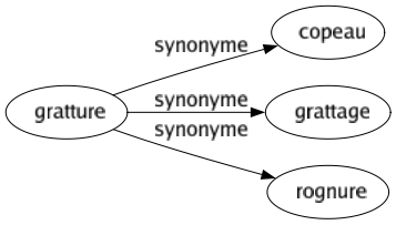 Synonyme de Gratture : Copeau Grattage Rognure 