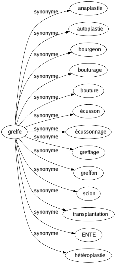 Synonyme de Greffe : Anaplastie Autoplastie Bourgeon Bouturage Bouture Écusson Écussonnage Greffage Greffon Scion Transplantation Ente Hétéroplastie 