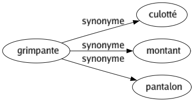 Synonyme de Grimpante : Culotté Montant Pantalon 