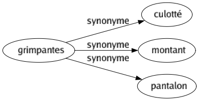 Synonyme de Grimpantes : Culotté Montant Pantalon 