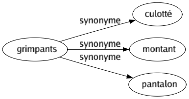 Synonyme de Grimpants : Culotté Montant Pantalon 