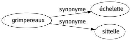 Synonyme de Grimpereaux : Échelette Sittelle 