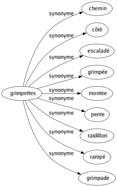 Synonyme de Grimpettes : Chemin Côté Escaladé Grimpée Montée Pente Raidillon Rampé Grimpade 