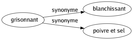 Synonyme de Grisonnant : Blanchissant Poivre et sel 