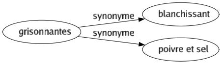 Synonyme de Grisonnantes : Blanchissant Poivre et sel 