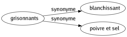 Synonyme de Grisonnants : Blanchissant Poivre et sel 