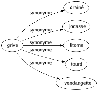 Synonyme de Grive : Drainé Jocasse Litorne Tourd Vendangette 