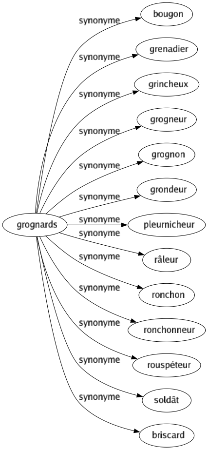 Synonyme de Grognards : Bougon Grenadier Grincheux Grogneur Grognon Grondeur Pleurnicheur Râleur Ronchon Ronchonneur Rouspéteur Soldât Briscard 