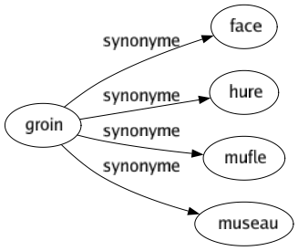 Synonyme de Groin : Face Hure Mufle Museau 