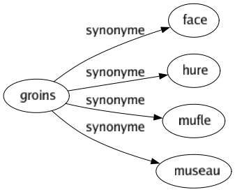 Synonyme de Groins : Face Hure Mufle Museau 