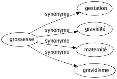 Synonyme de Grossesse : Gestation Gravidité Maternité Gravidisme 