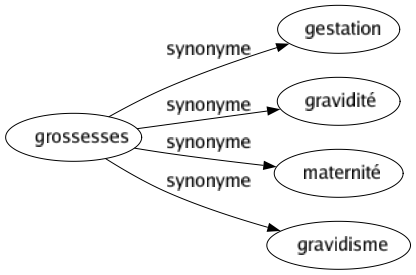 Synonyme de Grossesses : Gestation Gravidité Maternité Gravidisme 