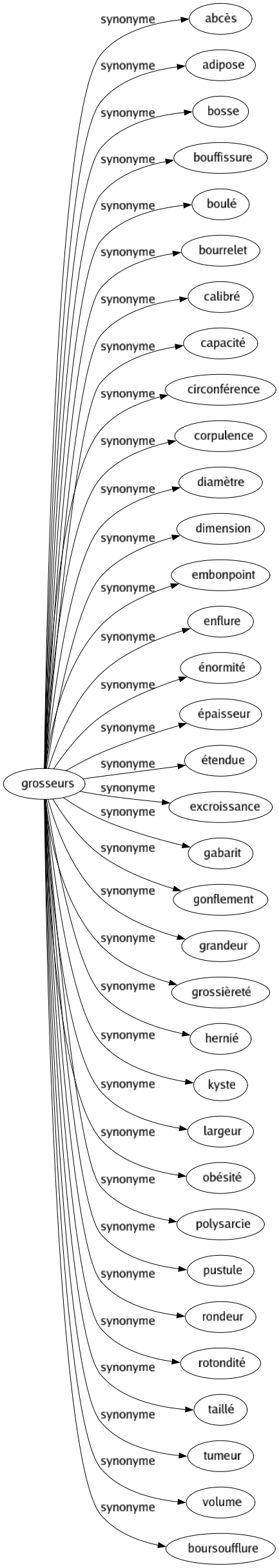 Synonyme de Grosseurs : Abcès Adipose Bosse Bouffissure Boulé Bourrelet Calibré Capacité Circonférence Corpulence Diamètre Dimension Embonpoint Enflure Énormité Épaisseur Étendue Excroissance Gabarit Gonflement Grandeur Grossièreté Hernié Kyste Largeur Obésité Polysarcie Pustule Rondeur Rotondité Taillé Tumeur Volume Boursoufflure 