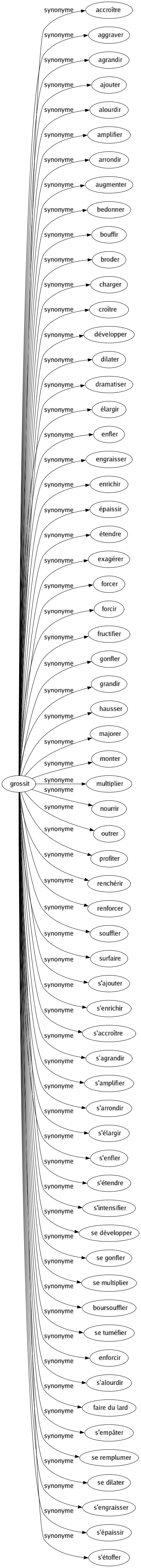 Synonyme de Grossit : Accroître Aggraver Agrandir Ajouter Alourdir Amplifier Arrondir Augmenter Bedonner Bouffir Broder Charger Croître Développer Dilater Dramatiser Élargir Enfler Engraisser Enrichir Épaissir Étendre Exagérer Forcer Forcir Fructifier Gonfler Grandir Hausser Majorer Monter Multiplier Nourrir Outrer Profiter Renchérir Renforcer Souffler Surfaire S'ajouter S'enrichir S'accroître S'agrandir S'amplifier S'arrondir S'élargir S'enfler S'étendre S'intensifier Se développer Se gonfler Se multiplier Boursouffler Se tuméfier Enforcir S'alourdir Faire du lard S'empâter Se remplumer Se dilater S'engraisser S'épaissir S'étoffer 