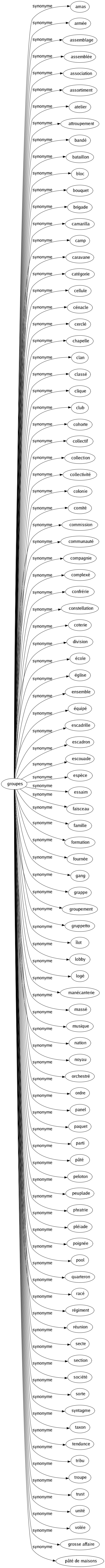 Synonyme de Groupes : Amas Armée Assemblage Assemblée Association Assortiment Atelier Attroupement Bandé Bataillon Bloc Bouquet Brigade Camarilla Camp Caravane Catégorie Cellule Cénacle Cerclé Chapelle Clan Classé Clique Club Cohorte Collectif Collection Collectivité Colonie Comité Commission Communauté Compagnie Complexé Confrérie Constellation Coterie Division École Église Ensemble Équipé Escadrille Escadron Escouade Espèce Essaim Faisceau Famille Formation Fournée Gang Grappe Groupement Gruppetto Îlot Lobby Logé Manécanterie Massé Musique Nation Noyau Orchestré Ordre Panel Paquet Parti Pâté Peloton Peuplade Phratrie Pléiade Poignée Pool Quarteron Racé Régiment Réunion Secte Section Société Sorte Syntagme Taxon Tendance Tribu Troupe Trust Unité Volée Grosse affaire Pâté de maisons 
